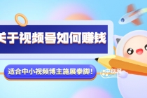 某公众号付费文章《关于视频号如何赚钱》适合中小视频博主施展拳脚！-副业网