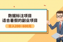 数据标注项目：适合暑假的副业兼职项目，日入200~600元-副业网