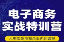 电子商务实战特训营，全方位带你入门电商，308种方式玩转电商-副业网
