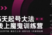 五天起号魔鬼训练营，告别光学不练，逼自己上车，成败与否，5天拿到结果-副业网