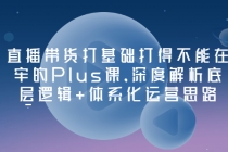 直播带货打基础打得不能在牢的Plus课，深度解析底层逻辑+体系化运营思路-副业网