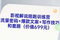 影视解说陪跑训练营，流量密码+爆款文案+写作技巧和套路-副业网