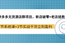 拼多多无货源店群项目，新店破零+老店拯救 12节系统课+3节实战干货立刻盈利-副业网