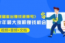《零基础做出赚钱视频号》2022年最大涨粉赚钱机会（视频+音频+图文)价值199-副业网