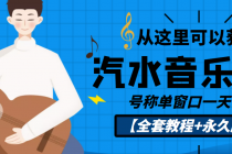 外面收费1500的汽水音乐人挂机项目，号称单窗口一天100+【教程+永久脚本】-副业网