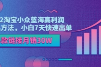 2022淘宝小众蓝海高利润选品方法，小白7天快速出单，单款链接月销30W-副业网
