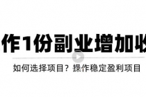 新手如何通过操作副业增加收入，从项目选择到玩法分享！【视频教程】-副业网