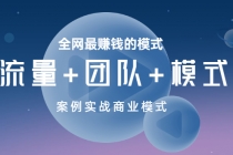 全网最赚钱的模式《流量+团队+模式》案例实战商业模式-副业网