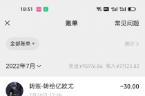 【稳定挂机】Soul挂机冲人气项目，单窗口一天2元 收益日结，稳定长久项目-副业网
