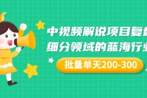 某付费文章：中视频解说项目复盘：细分领域的蓝海行业 批量单天200-300收益-副业网