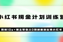 《小红书捞金计划训练营》粉丝10w+博主带你从0粉到变现玩转小红书（72节课)-副业网