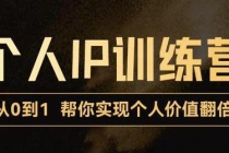 从0到1打造短视频个人IP训练营,精准强吸粉+人设塑造+主页搭建+快速起号-副业网