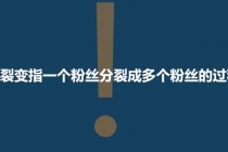 「粉丝裂变训练营」0-1-1w爆发式增长，24小时不断的涨粉-睡觉也在涨-16节课-副业网