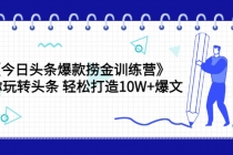 《今日头条爆款捞金训练营》带你玩转头条 轻松打造10W+爆文-副业网