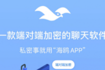 【引流必备】蝙蝠同款平台海鸥 全自动群发器 支持发送图片文字【永久脚本】-副业网