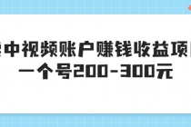 某599元收费培训：卖中视频账户赚钱收益项目 一个号200-300元（13节完整版)-副业网