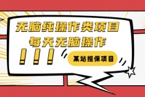 某站担保项目：无脑纯操作类项目，每天无脑操作，需要周转资金【揭秘】-副业网