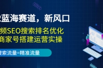 2022蓝海赛道，新风口：短视频SEO搜索排名优化+企业商家号搭建运营实操-副业网