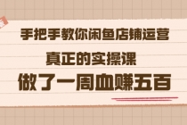 2022版《手把手教你闲鱼店铺运营》真正的实操课 做了一周血赚五百 (16节课)-副业网