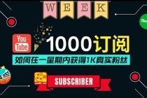 油管涨粉教程：一星期内获得1000真实粉丝，免费且快速的方法 操作简单-副业网