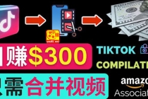 搬运Tiktok短视频到Youtube赚钱，只需下载，合并视频，日赚300美元-副业网