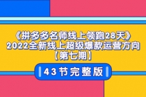《拼多多名师线上领跑28天》2022全新线上超级爆款运营方向【第七期】43节课-副业网