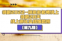 领跑2022-拼多多名师线上领跑28天，线上孵化实战爆款班-副业网