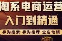 淘系电商入门到精通 手淘搜索，手淘推荐，全店动销-副业网