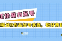 正价暴力起实操号：0粉丝0作品起号实操，微付费稳号-副业网