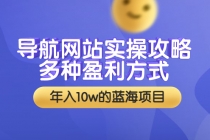 导航网站实操攻略，多种盈利方式，年入10w的蓝海项目-副业网