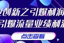 张琦《商业创新之引爆利润增长》引爆流量业绩利润-副业网