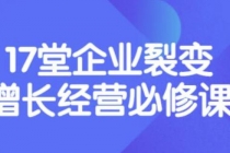 张琦《盈利增长17堂必修课》企业裂变增长的经营智慧，带你了解增长的本质-副业网
