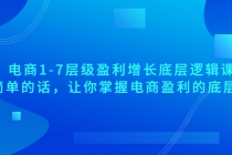 电商1-7层级盈利增长底层逻辑课：用简单的话，让你掌握电商盈利的底层逻辑-副业网