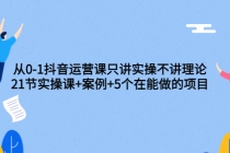 从0-1抖音运营课只讲实操不讲理论：21节实操课+案例+5个在能做的项目-副业网