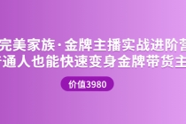 金牌主播实战进阶营 普通人也能快速变身金牌带货主播-副业网
