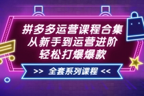 拼多多运营课程合集：从新手到运营进阶，轻松打爆爆款-副业网