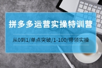 青云:拼多多运营实操特训营：从0到1/单点突破/1-100/带领实操-副业网