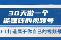 30天做一个能赚钱的视频号，从0-1打造属于你自己的视频号 (14节)-副业网