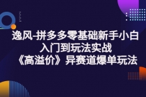 逸风-拼多多零基础新手小白入门到玩法实战《高溢价》异赛道爆单玩法实操课-副业网