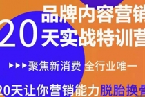 《内容营销实操特训营》20天让你营销能力脱胎换骨-副业网