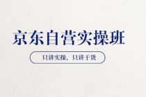 【京东自营实操班】只讲实操，只讲干货-副业网