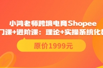 跨境电商Shopee入门课+进阶课：理论+实操系统化教学-副业网