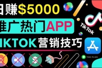 无需露脸，无需录音，无需投资，TIKTOK上传短视频，最高日入5000美元-副业网