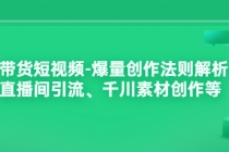 带货短视频-爆量创作法则解析：直播间引流、千川素材创作等-副业网