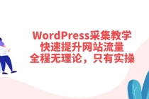WordPress采集教学，快速提升网站流量：全程无理论，只有实操-副业网