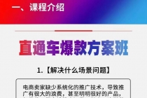 《直通车爆款方案班》提高直通车推广功能-副业网
