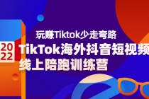 TikTok海外抖音短视频线上陪跑训练营，玩赚Tiktok少走弯路-副业网