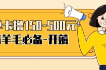【低保项目】注册卡撸羊毛，单号可撸150-500-副业网