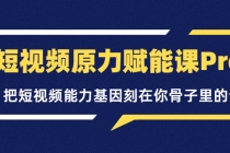 短视频原力赋能课Pro，把短视频能力基因刻在你骨子里的课-副业网