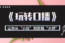 月营业额700万+大佬教您《玩转口播》让你从“小白”到剪辑“大师”-副业网